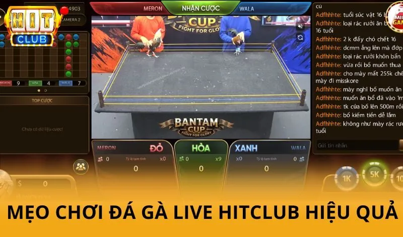 Bật mí một số mẹo chơi Đá gà Live Hitclub hiệu quả